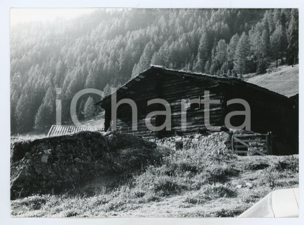Fotografia d epoca originale 1982 PREDOI Frazione PRATOMAGNO Panorama con baita  Foto 17x13 cm 1