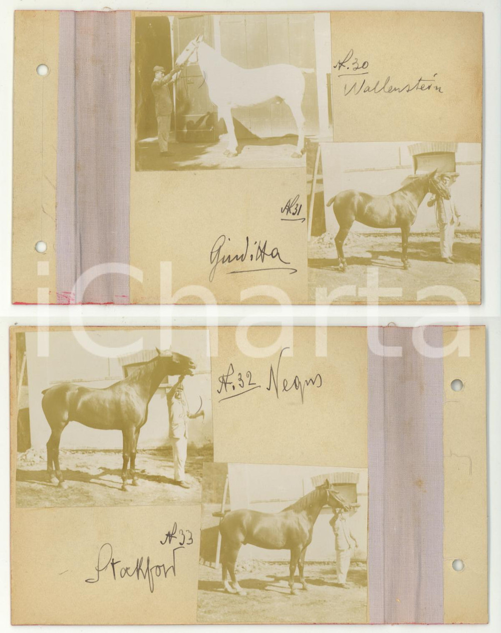 Fotografia d epoca originale 1904 LANZO INTELVI Quattro cavalli in scuderia  Lotto 4 foto VINTAGE 1