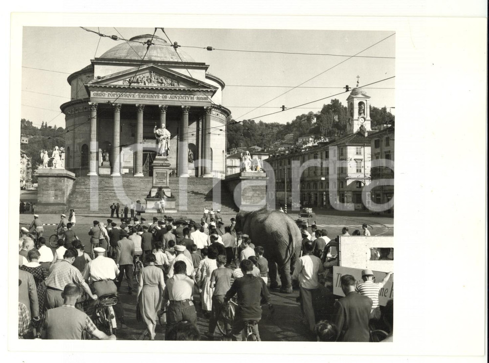 Fotografia d epoca originale 1959 TORINO Chiesa della Gran Madre di Dio  Arrivo dell elefante JUMBO Foto 1