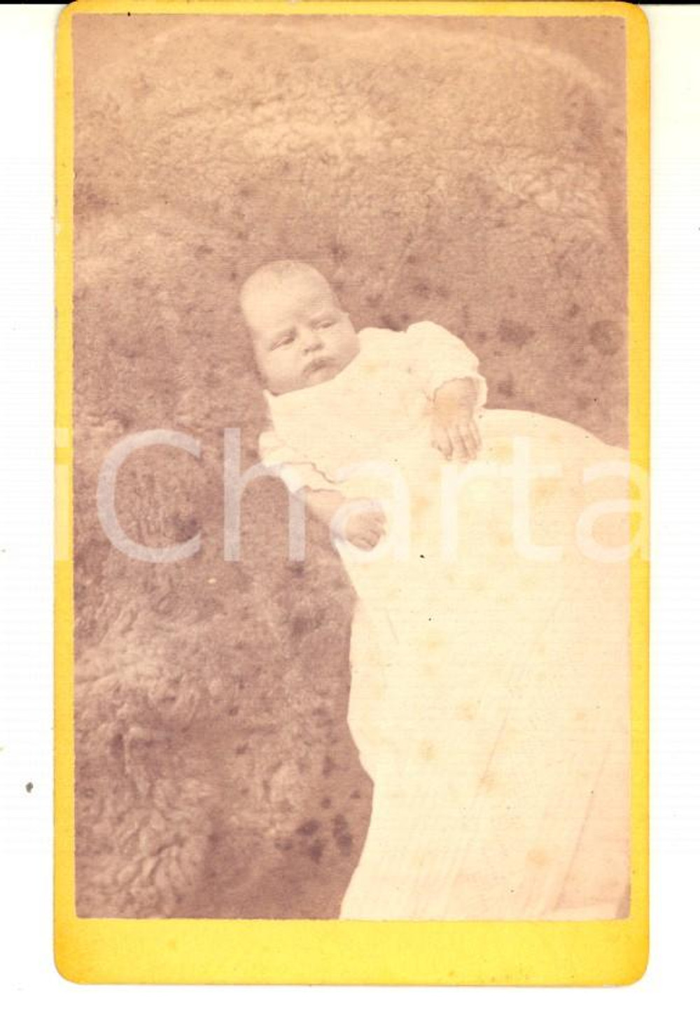 1880 ca PONTYPOOL Portrait of baby George RODERICK WEBB - Photo KNIGHT CDV Fotografia d'epoca, su cartoncino rigido.  CONDIZIONI: GE' severamente vietata la riproduzione. Tutti i diritti sono riservati.     originale e autentica 1