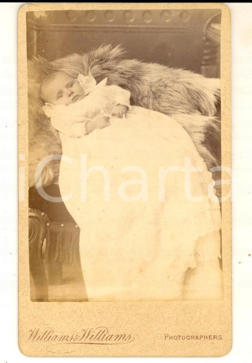 1880 ca PONTYPOOL Portrait baby George RODERICK WEBB - Photo WILLIAMS & WILLIAMS Fotografia d'epoca, su cartoncino rigido.  CONDIZIONI: GFORMATO: CDVE' severamente vietata la riproduzione. Tutti i diritti sono riservati.     originale e autentica 1