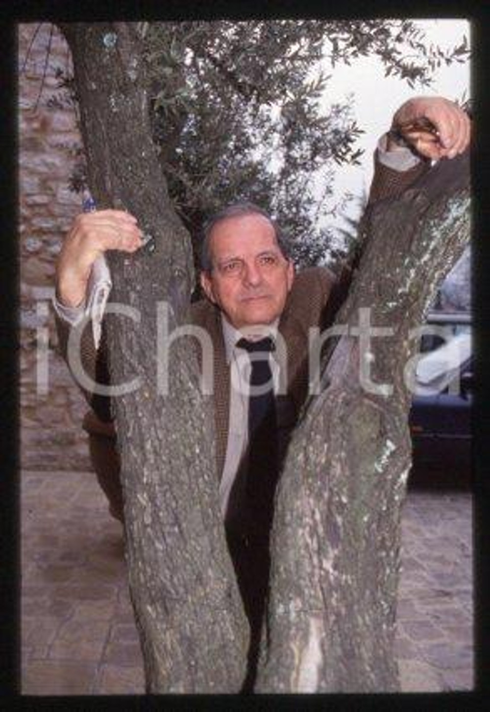 35mm vintage slide* 1990 ca CINEMA Italian film director Damiano DAMIANI (15)