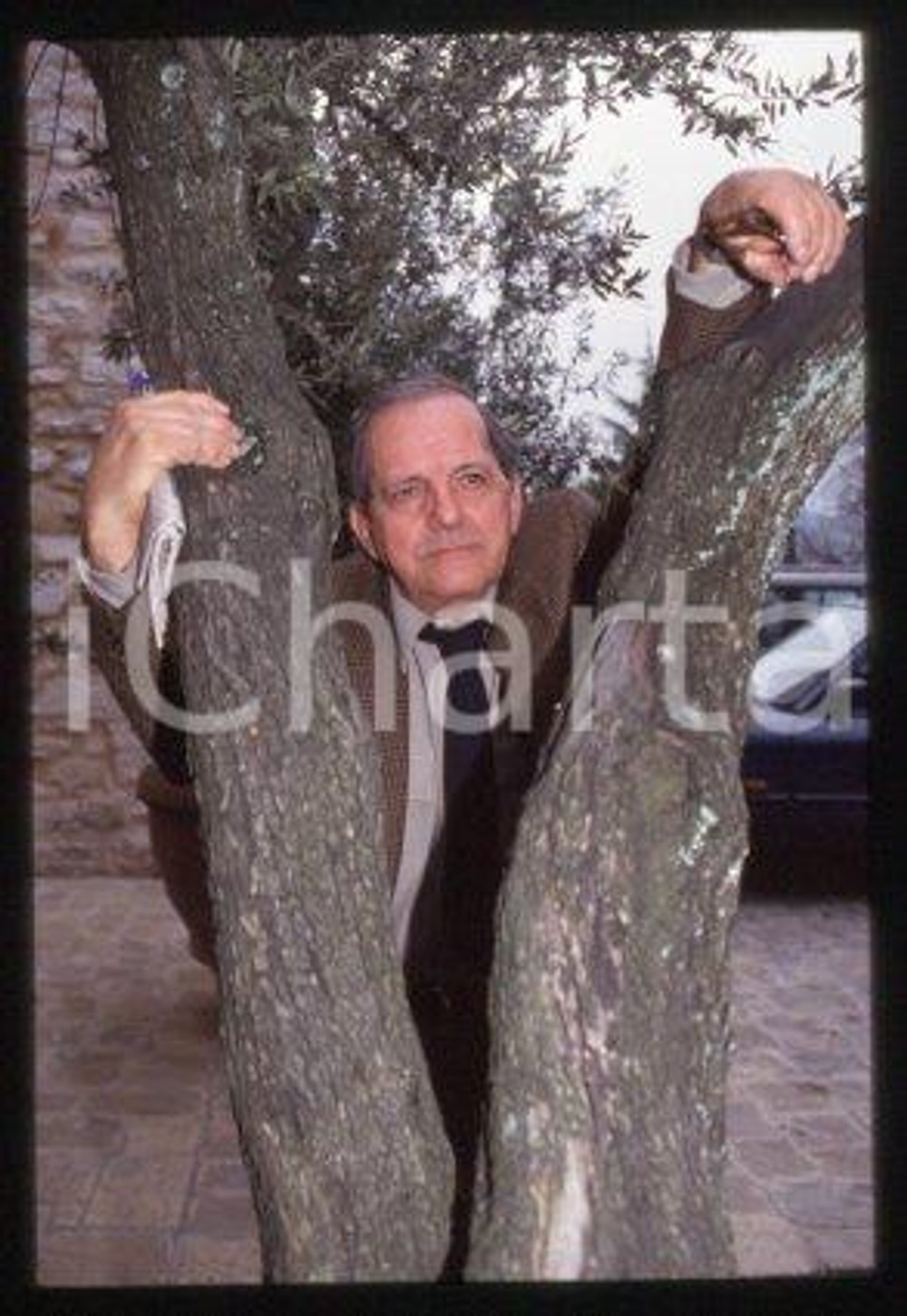 35mm vintage slide* 1990 ca CINEMA Italian film director Damiano DAMIANI (17)