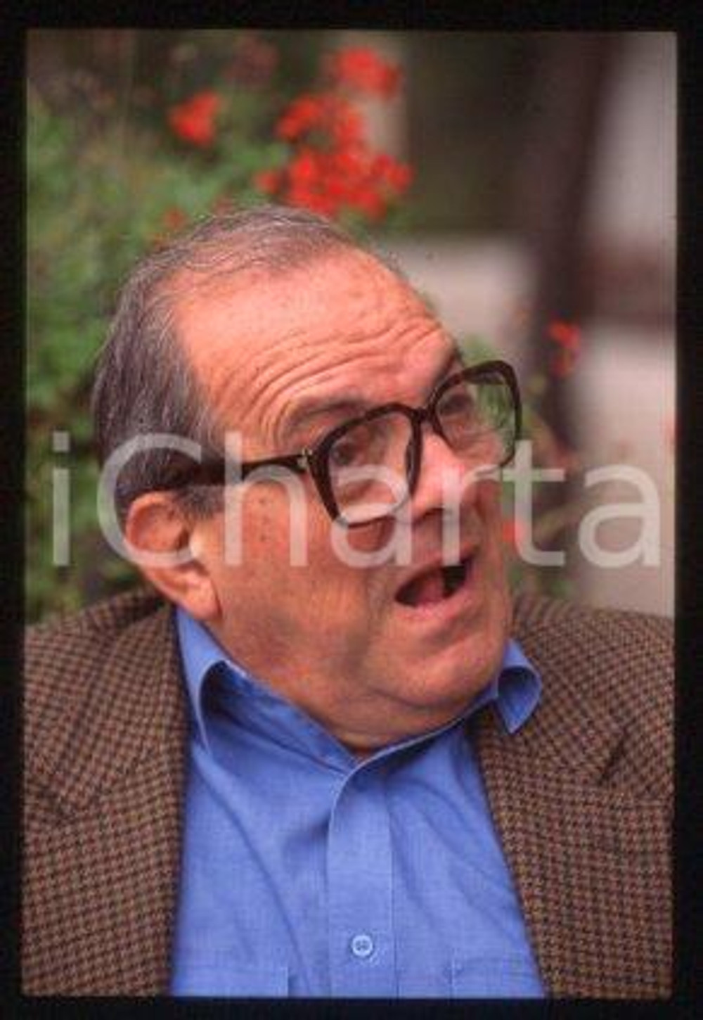 35mm vintage slide* 1990 ca CINEMA Italian film director Damiano DAMIANI (9)