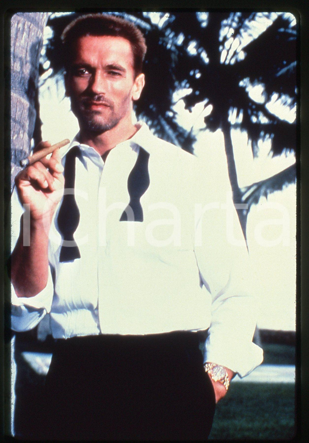 35mm vintage slide* 1985 ca COSTUME Arnold SCHWARZENEGGER Ritratto dell'attore 5
