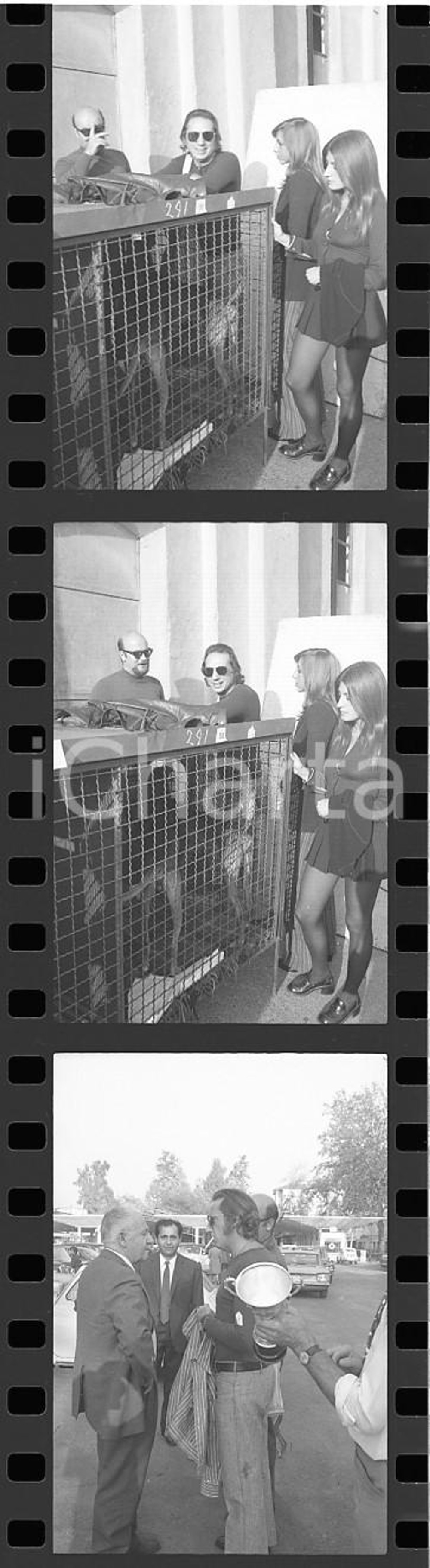 35mm LOTTO 3 NEGATIVI* 1970 ca MILANO Mike BONGIORNO Daniela ZUCCOLI Ritratto