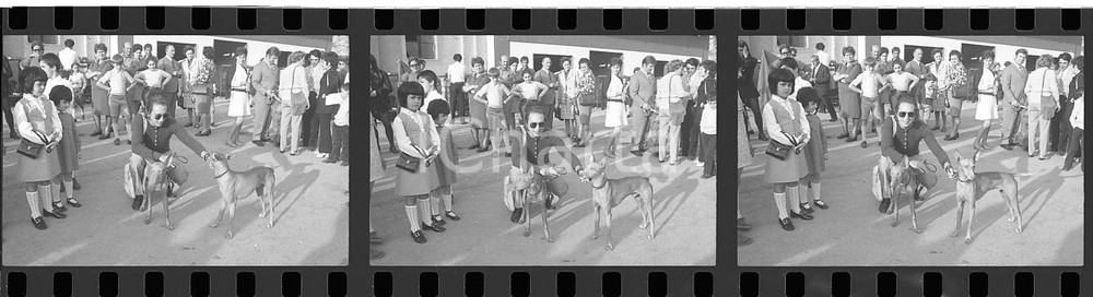 35mm LOTTO 3 NEGATIVI* 1970ca MILANO Mike BONGIORNO con Cirnechi dell'Etna (6)