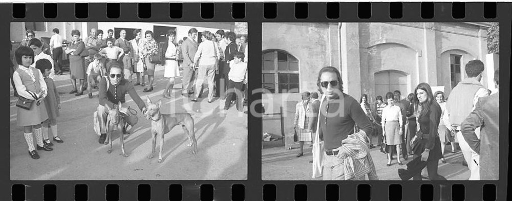 35mm LOTTO 3 NEGATIVI* 1970ca MILANO Mike BONGIORNO con Cirnechi dell'Etna (7)