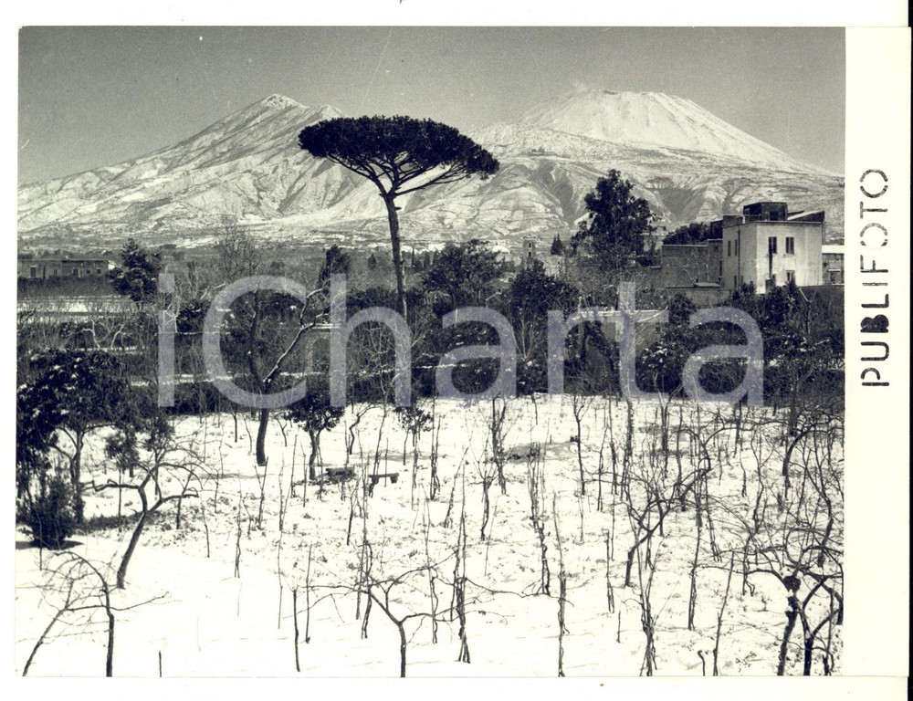 Nevicata del 1956 NAPOLI Veduta del Vesuvio innevato *Fotografia 18x13 cm Fotografia d'epoca, con didascalia coeva al verso. CONDIZIONI: FAIR (increspature superficiali; sovraimpressione al margine inferiore)FORMATO: 18x14 cm    originale e autentica 1