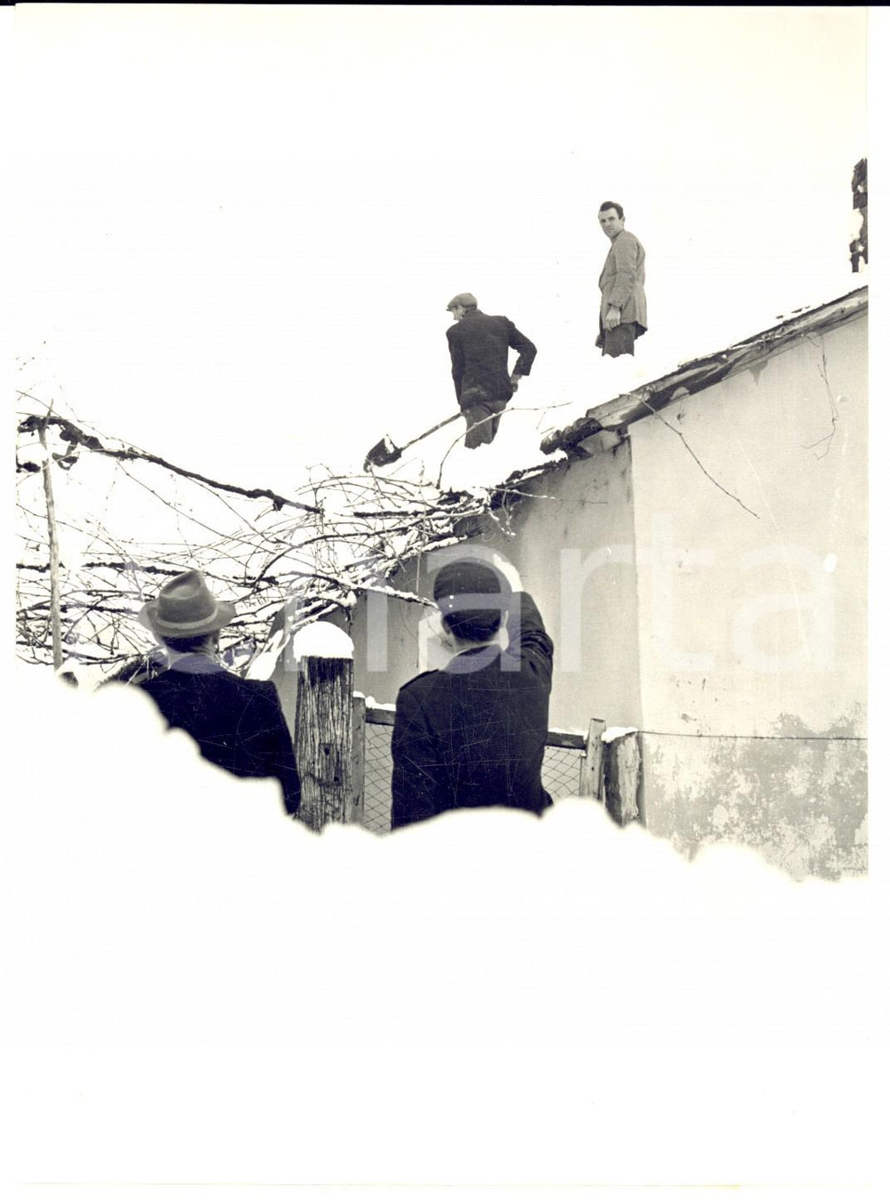 Nevicata del 1956 AVEZZANO Spalatori tra le case sepolte - Foto 13x18 cm Fotografia d'epoca con didascalia coeva al verso. CONDIZIONI: FAIR (lievi macchie superficiali)FORMATO: 13x18 cm     originale e autentica 1