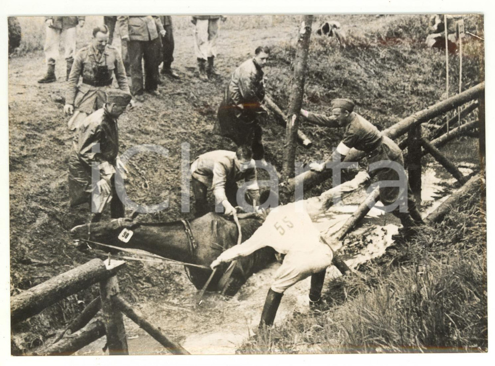 1956 STOCCOLMA XVI Olimpiade - EQUITAZIONE Caduta di Johan ASKER da ILLER *Foto Fotografia d'epoca, con didascalia coeva al verso. CONDIZIONI: FAIR (bassa qualit&agrave; di stampa)FORMATO: 18x13 cm    originale e autentica 1