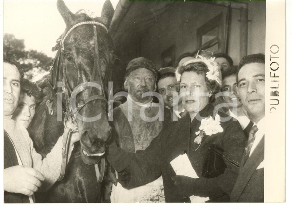 1956 NAPOLI Gran Premio Lotteria di AGNANO - IPPICA Il vincitore GELINOTTE Fotografia d'epoca, con didascalia coeva al verso. CONDIZIONI: G (ma bassa qualit&agrave; di stampa)FORMATO: 18x13 cm    originale e autentica 1