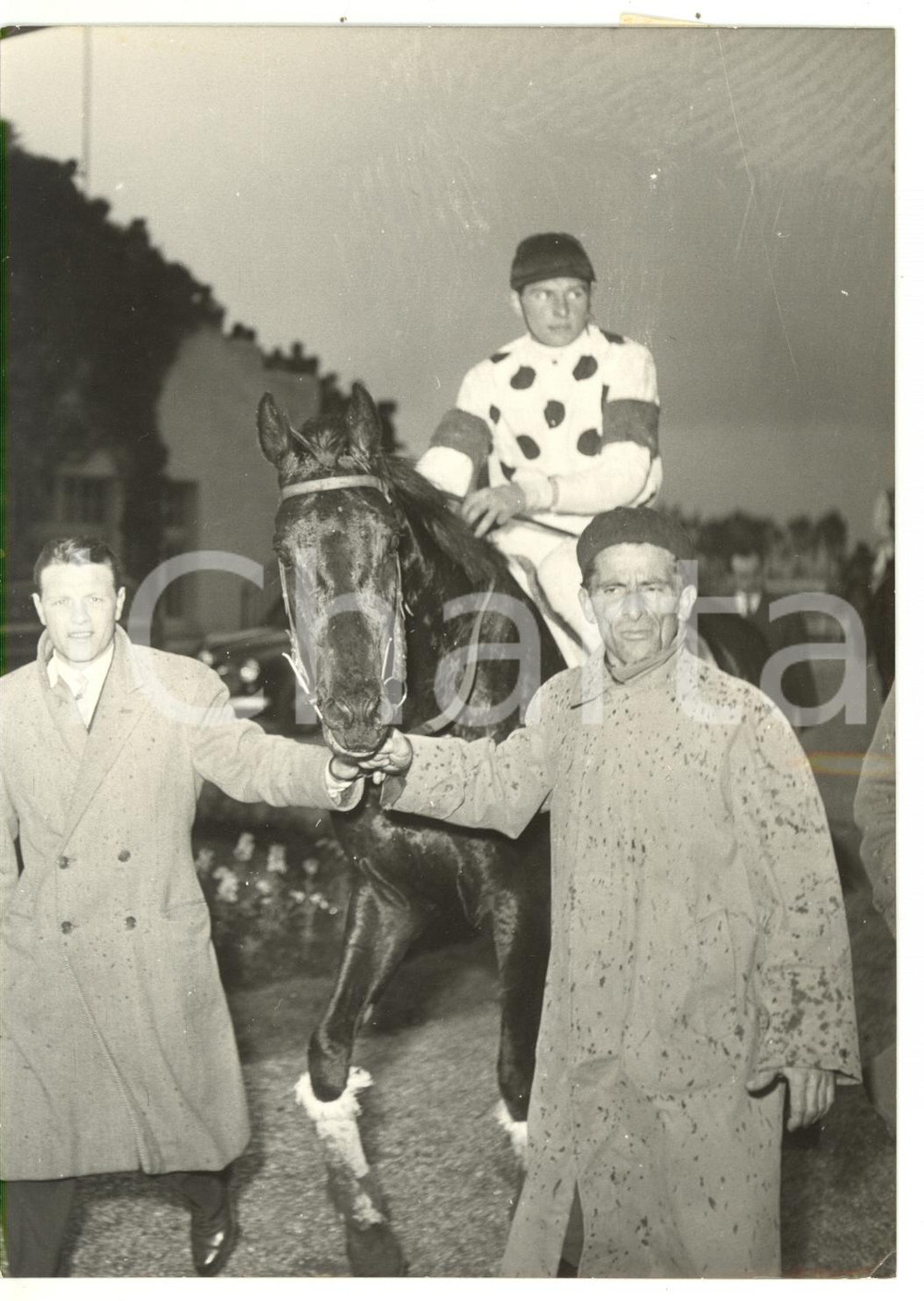 1955 ROMA Gran Corsa Siepi - IPPICA Vittoria di Armando CARANGIO su ROMANTIQUE Fotografia d'epoca, con didascalia coeva al verso. CONDIZIONI: G (masovraimpressione al margine superiore. Gli aloni al bordo superiore sono un difetto di stampa)FORMATO: 13x18 cm    originale e autentica 1