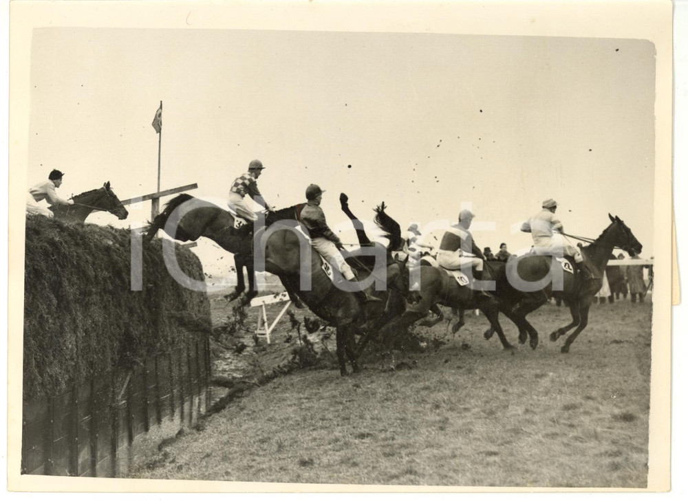 1955 AINTREE Grand National - The horses jumping over Becher's Brook *Photo  Fotografia d'epoca, con didascalia coeva al verso. CONDIZIONI: FAIR (sovraimpressione circolare; piccole piegature sparse)FORMATO: 20x15 cm    originale e autentica 1