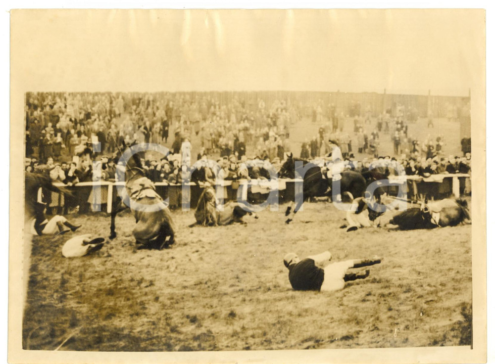 1956 AINTREE Grand National - The fallen horses at the first fence *Photo 20x15 Fotografia d'epoca, con didascalia coeva al verso. CONDIZIONI: POOR (alone diffuso; ondulazione al margine superiore; piccole piegature ai margini)FORMATO: 20x15 cm    originale e autentica 1