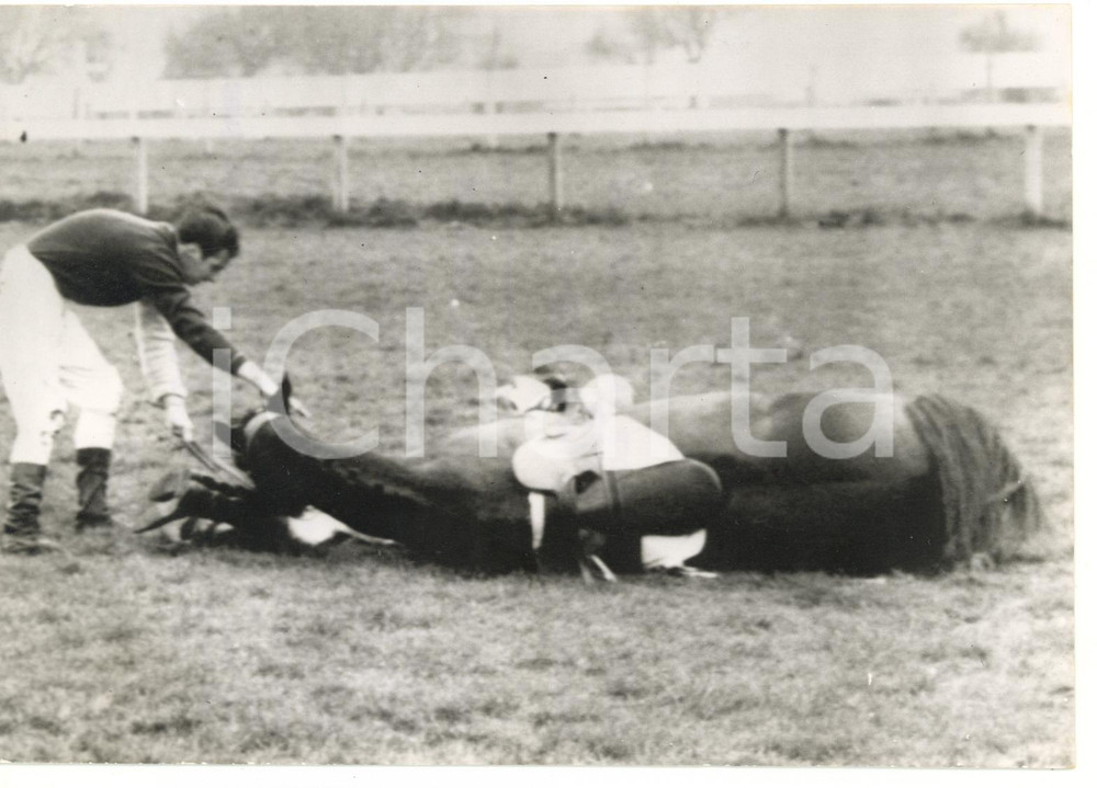 1958 MANCHESTER Victory Hurdle Race - Pat TAAFFE trapped under REVE ETOILE 
