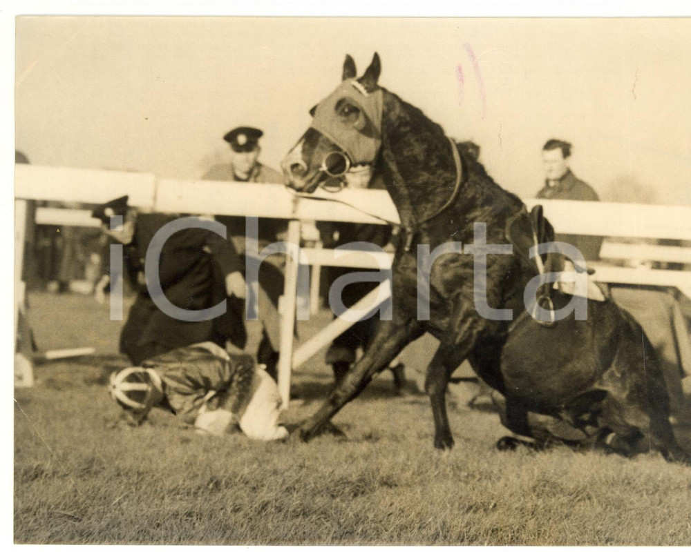1954 HURST PARK Pall Mall Juvenile Hurdle - A. D. GREEN falling off ROUGH NIGHT Fotografia d'epoca, con didascalia coeva al verso. CONDIZIONI: POOR (bassa qualit&agrave; di stampa; alone diffuso; piegatura all'angolo inferiore sinistro; traccia di pennarello al verso visibile in superficie; piegatura al margine destro)FORMATO: 20x15 cm    originale e autentica 1