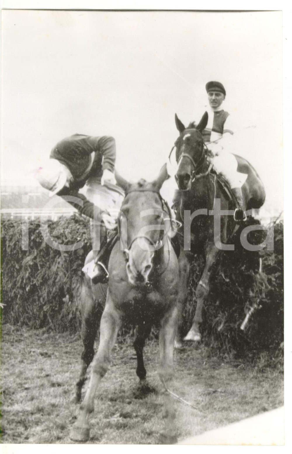 1958 LIVERPOOL Snapdragon Handicap - P. J. FOX managing to stay with PROVIDENT Fotografia d'epoca, con didascalia coeva al verso. CONDIZIONI: FAIR (bassa qualit&agrave; di stampa)FORMATO: 13x20 cm    originale e autentica 1