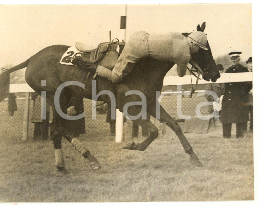 1957 LONDON Novices' Hurdle Race - W. WILLIAMS clinging to DEVILRY *Photo 20x15 Fotografia d'epoca, con didascalia coeva al verso. CONDIZIONI: FAIR (alone diffuso; sovraimpressione circolare; piccola piegatura all'angolo inferiore destro)FORMATO: 20x15 cm    originale e autentica 1