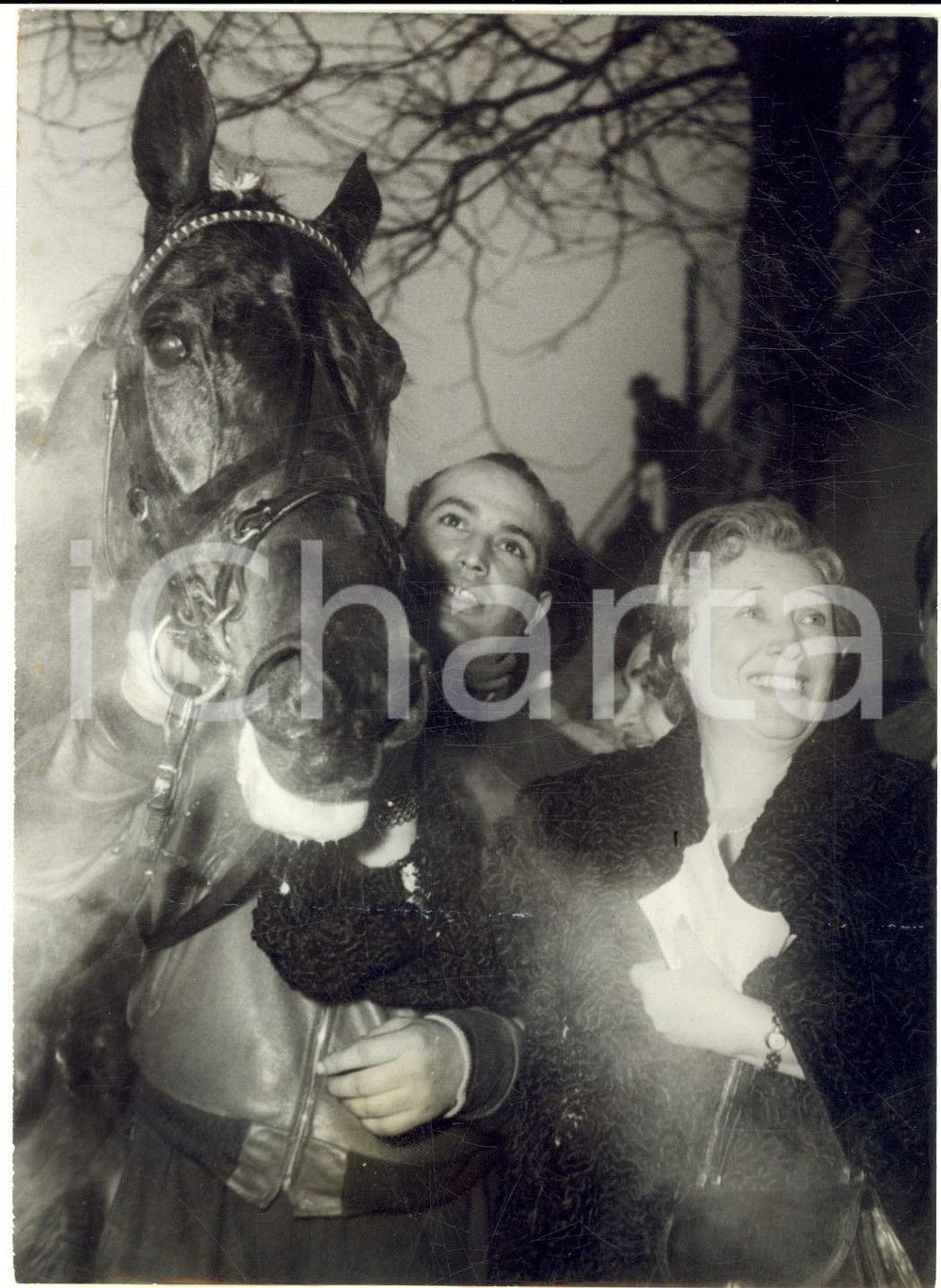 1956 PARIS VINCENNES PRIX DE FRANCE L'imbattable cheval GELINOTTE *Photo 13x18 Fotografia d'epoca con didascalia coeva. CONDIZIONI: G (ma graffio superficiale)FORMATO: 13x18 cm    originale e autentica 1