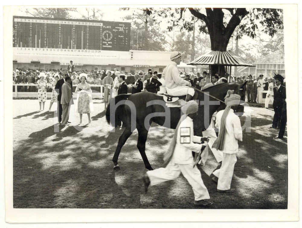 1961 CALCUTTA Queen ELIZABETH II watching Willie SNAITH on MONKSHOOD *Photo Fotografia d'epoca, con didascalia coeva al verso. CONDIZIONI: G (ma piccola piegatura all'angolo superiore sinistro)FORMATO: 20x15 cm    originale e autentica 1