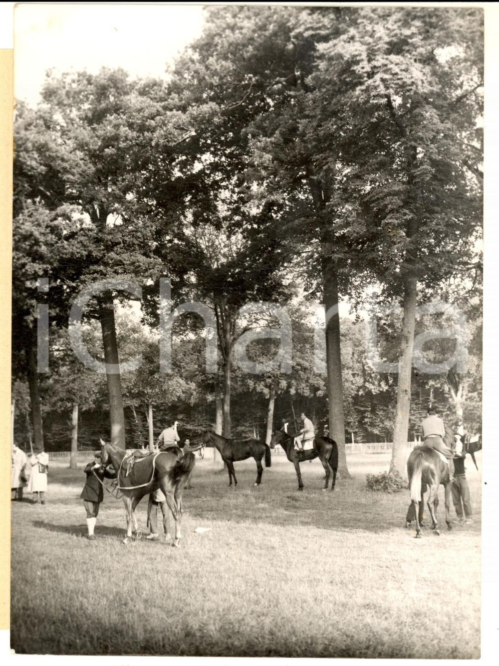 1953 CHANTILLY La scuderia dell'AGA KHAN pronta al Grand Prix de PARIS - Foto Fotografia d'epoca con didascalia coeva.  CONDIZIONI: G (ma lieve sovraimpressione) FORMATO:  13x18 cm     originale e autentica 1