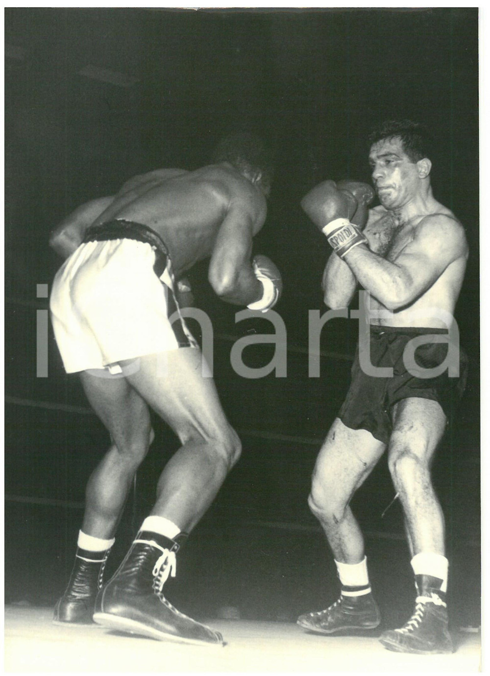 1956 MILANO - PUGILATO Duilio LOI sul ring contro Orlando ZULUETA *Foto 13x18 cm Fotografia d'epoca con didascalia coeva al verso.  CONDIZIONI: G (ma sovraimpressione al margine inferiore) CONDIZIONI: 13x18 cm    originale e autentica 1