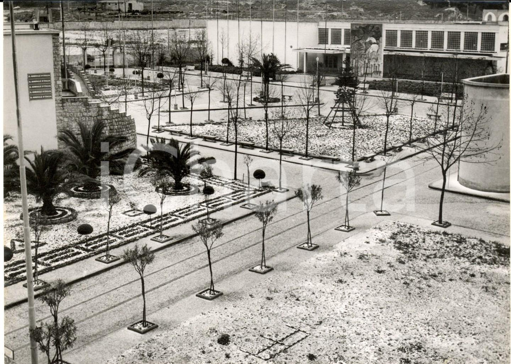1956 PALERMO Giardini imbiancati da una nevicata eccezionale - Foto 18x13 Fotografia d'epoca con didascalia coeva.  CONDIZIONI: G (ma lieve sovraimpressione marginale) FORMATO: 13x18 cm    originale e autentica 1
