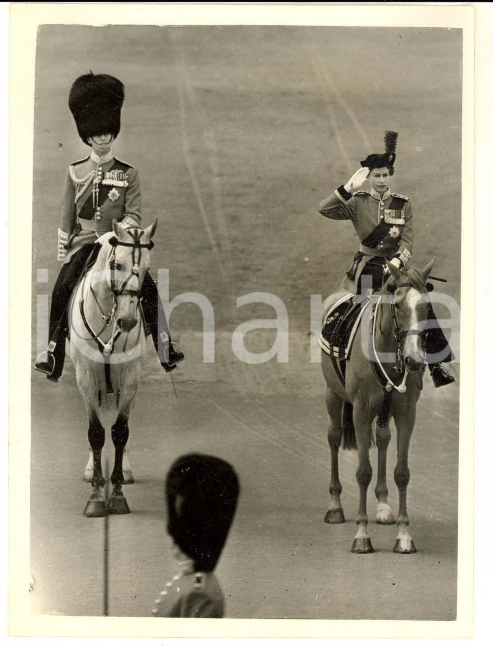 1954 LONDON Trooping the Colour -  Queen Elizabeth riding on WINSTON *Photo 