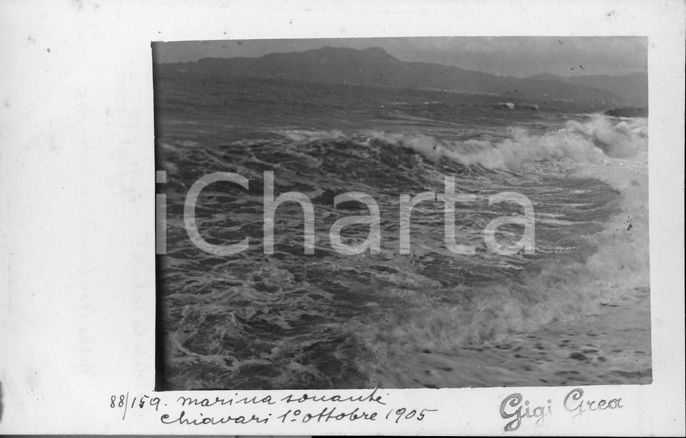 1905 CHIAVARI "Marina sonante" *foto artistica in formato cartolina