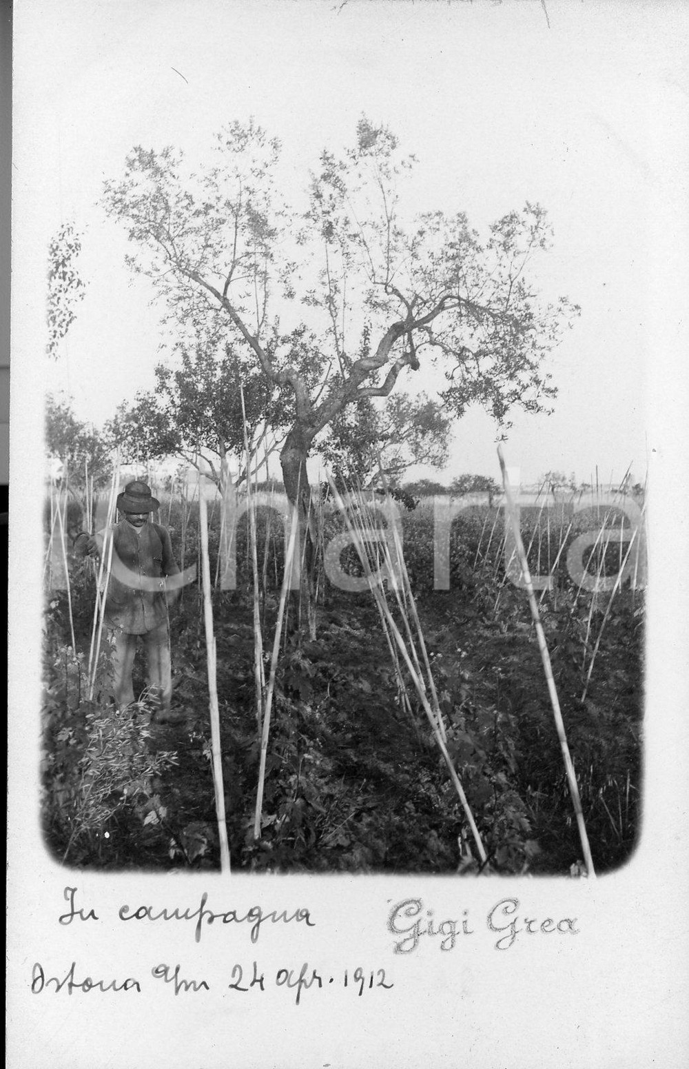 1912 ORTONA A MARE In campagna * Fotocartolina