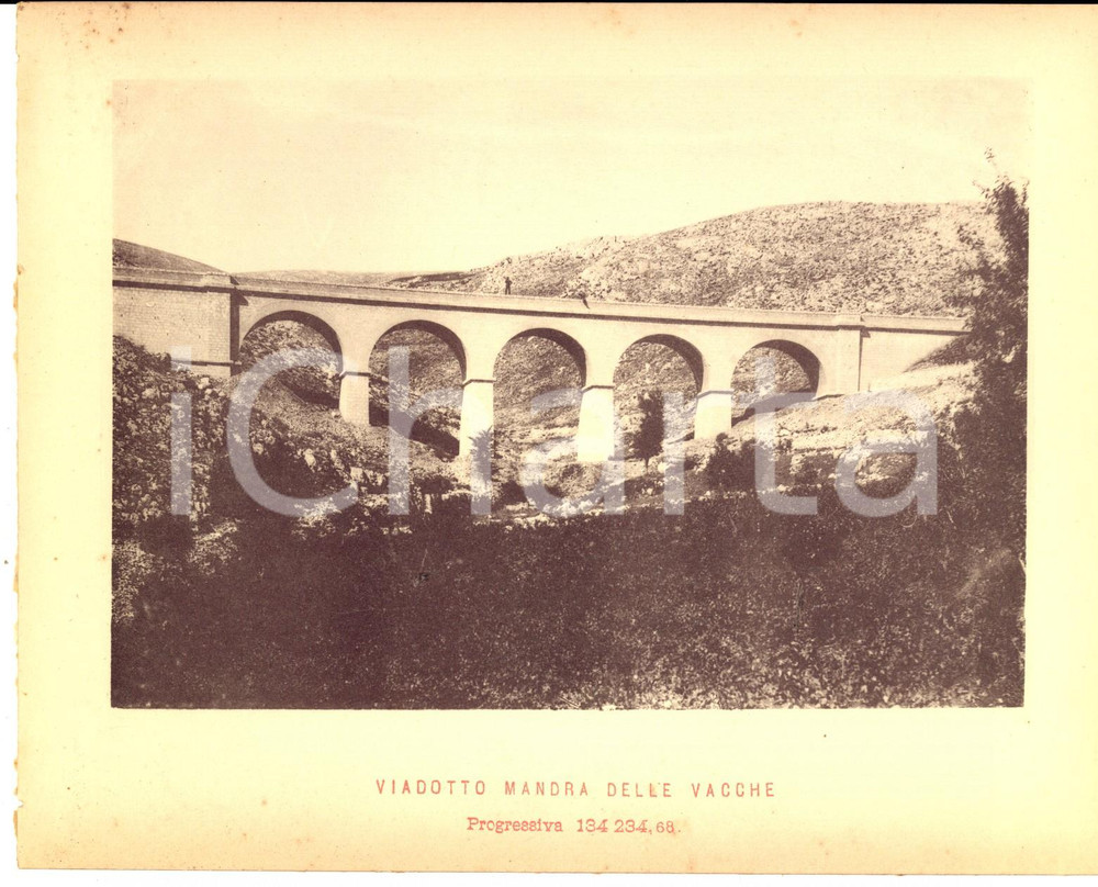 1888 Ferrovia ROMA-SULMONA - Viadotto MANDRA DELLE VACCHE - Stampa 20x16 cm Stampa d'epoca, su cartoncino.CONDIZIONI: G (ma lieve residuo cartaceo al verso)    originale e autentica 1
