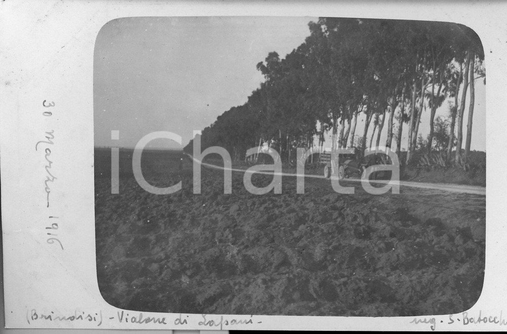1916 BRINDISI Carro militare sul viale di Lapani (Apani) *Fotocartolina