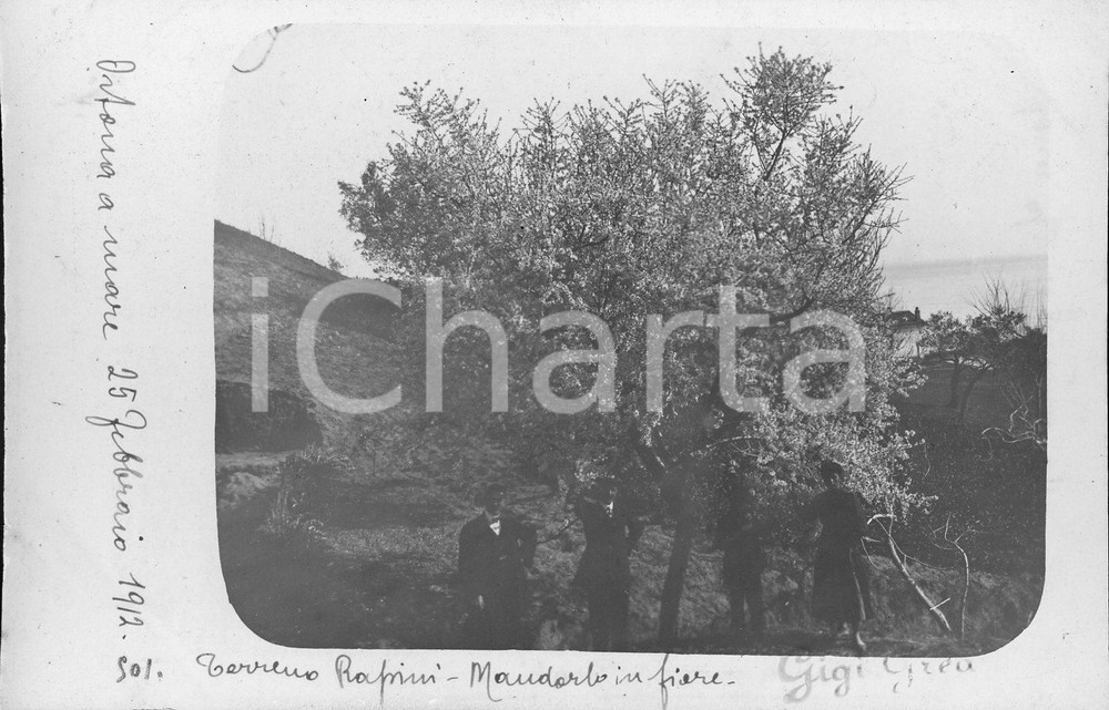 1912 ORTONA Mandorlo in fiore nel podere famiglia Rapini *Fotocartolina
