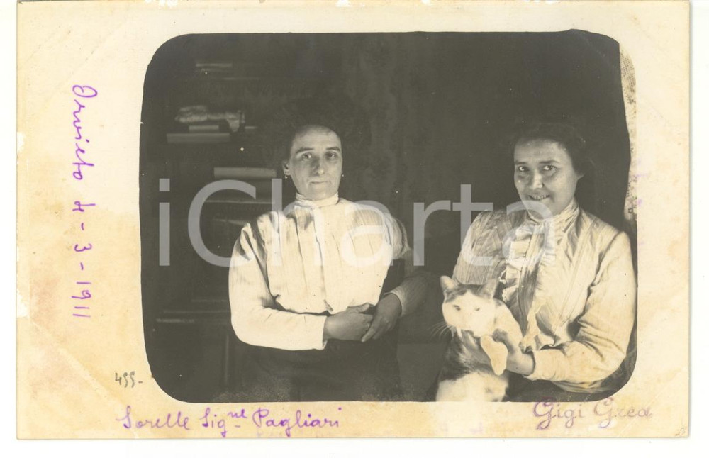 Fotografia d epoca originale 1911 ORVIETO Sorelle PAGLIARI posano con il gatto di famiglia Fotocartolina 1