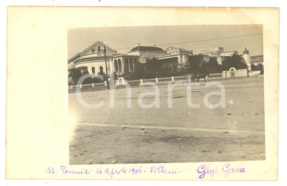 1906 TUNISI Scorcio con villini coloniali - Fotocartolina ANIMATA