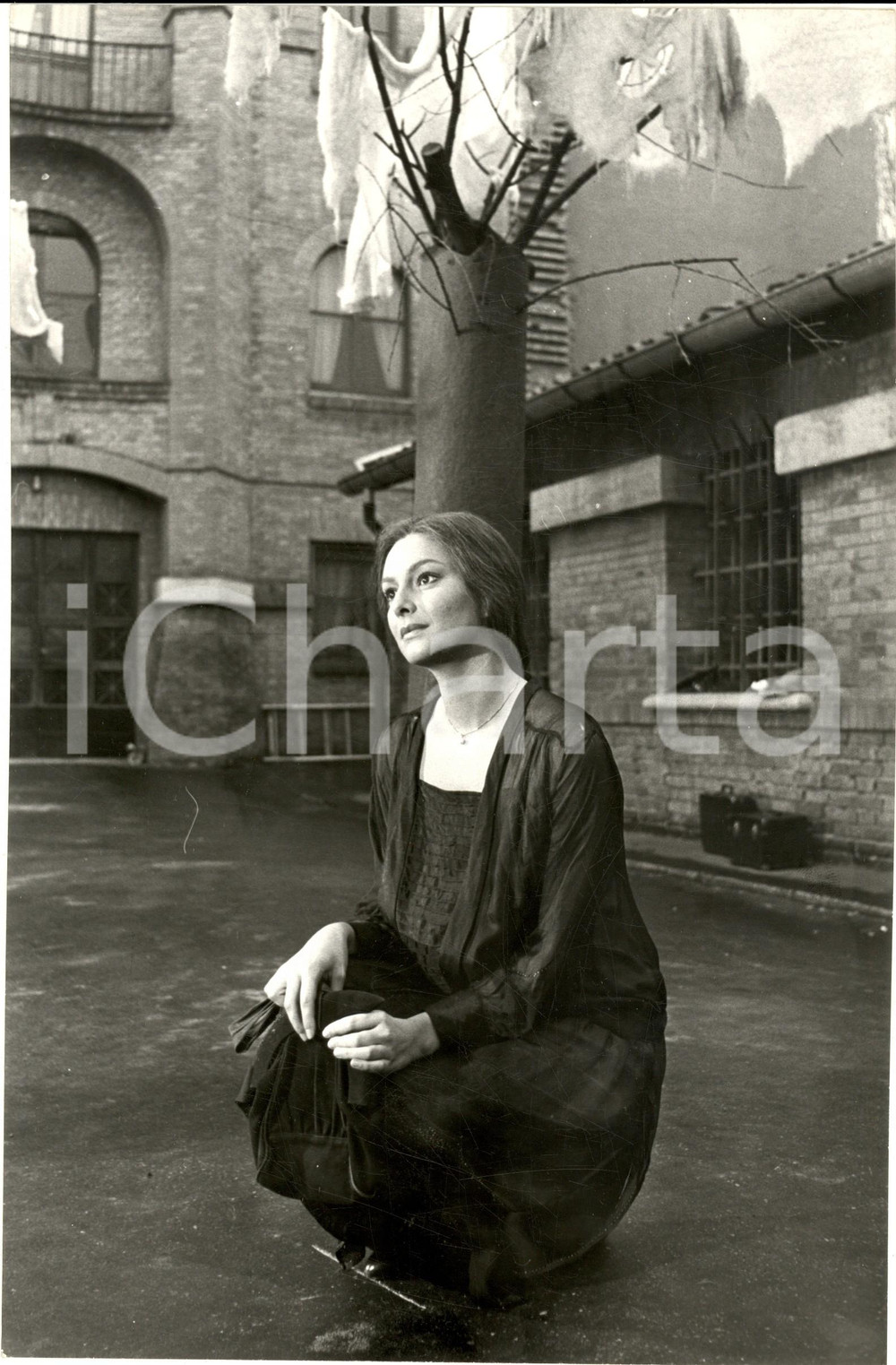 1970 ca CINEMA ITALIA Ritratto dell'attrice Rosemary DEXTER *Foto 20x30 cm Fotografia d'epoca. CONDIZIONI: G       originale e autentica 1