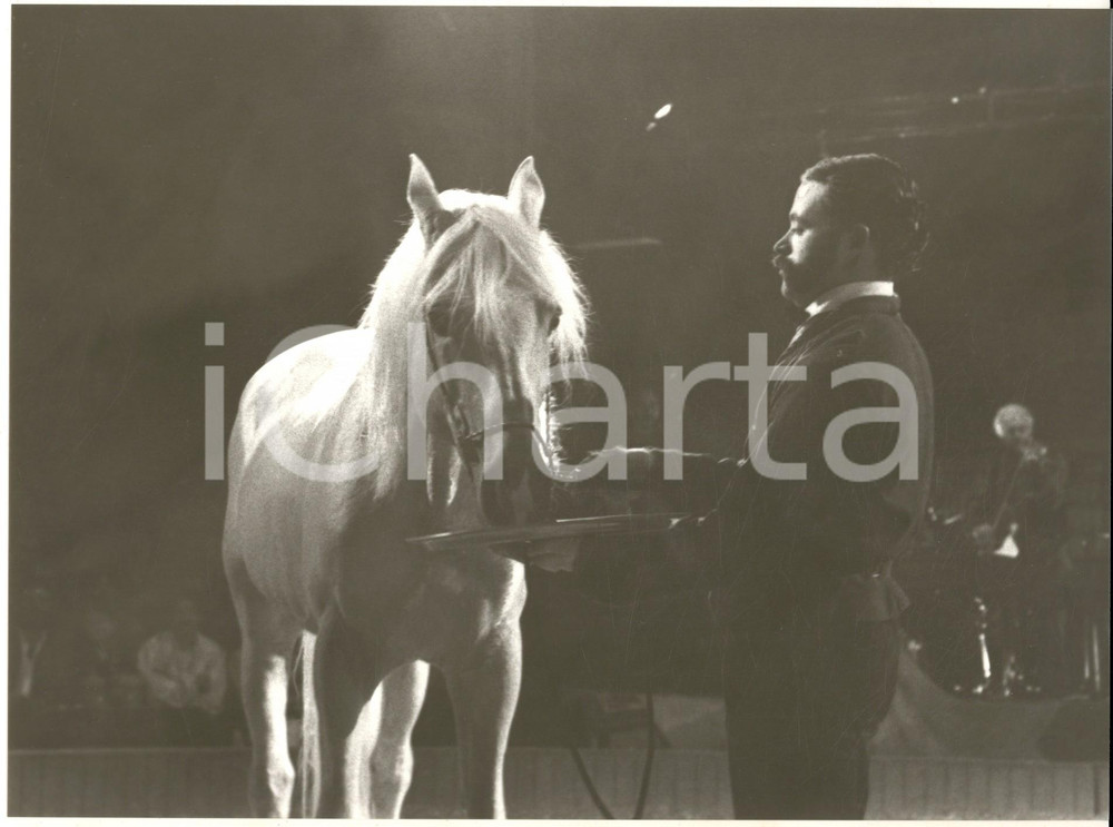 1985 ca FRANCE Teatro ZINGARO - Inserviente dà savoiardi a un cavallo *Foto