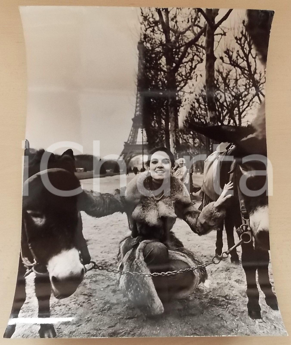 1970 ca PARIS Ritratto attrice Olga KARLATOS con asinelli (1) *Foto 30x40 cm