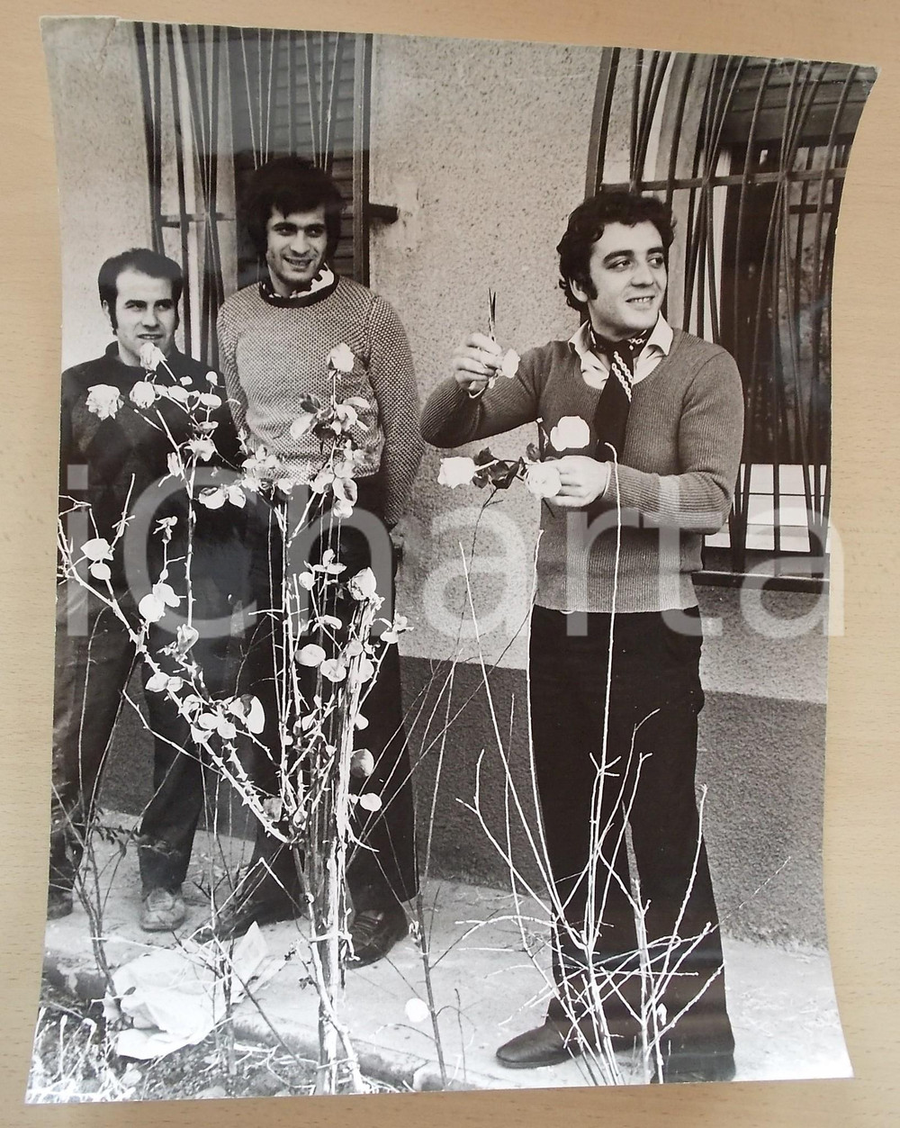 1975 ca COSTUME ITALIA Mino REITANO cura le rose in giardino *Foto 30x40 cm
