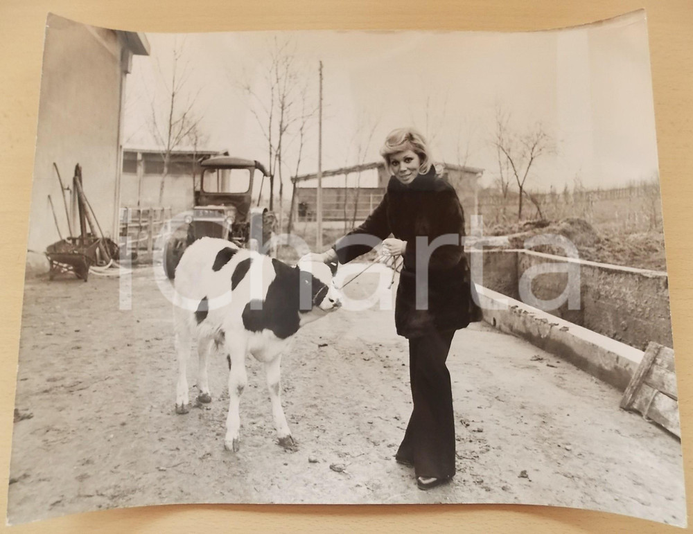 1970 ca COSTUME Soprano Mirella FRENI con un vitellino (1) Foto 40x30 cm