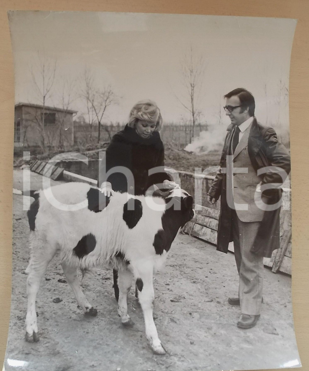 1970 ca COSTUME Soprano Mirella FRENI con un vitellino (2) Foto 30x40 cm