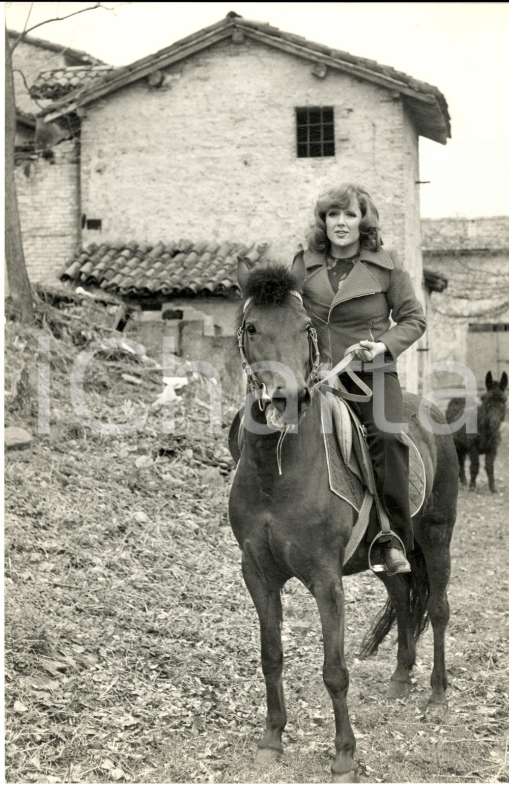 1970 ca COSTUME ITALIA Ritratto di Orietta BERTI a cavallo (1) - Foto 20x30 cm Fotografia d'epoca. CONDIZIONI: G FORMATO: 20x30 cm      originale e autentica 1