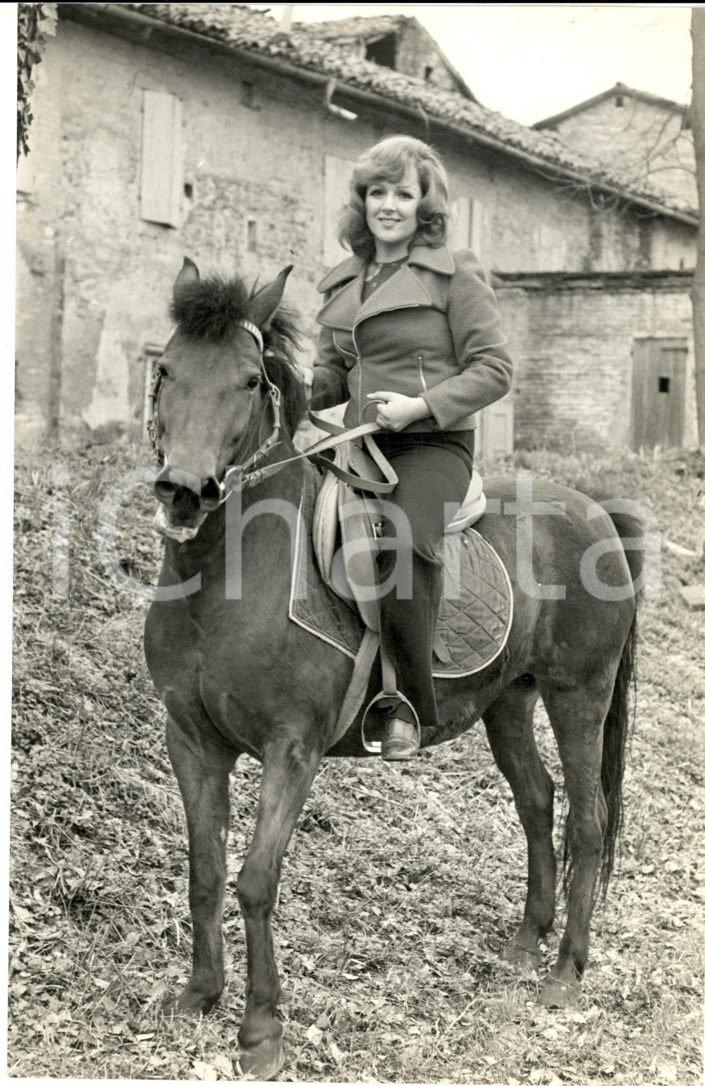 1970 ca COSTUME ITALIA Ritratto di Orietta BERTI a cavallo (2) - Foto 20x30 cm Fotografia d'epoca. CONDIZIONI: G FORMATO: 20x30 cm      originale e autentica 1