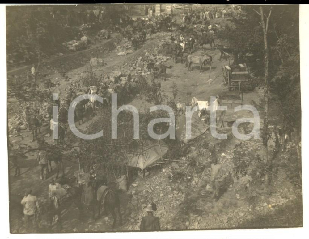 Fotografia d epoca originale 1917 WW1 ZONA DI GUERRA Accampamento italiano con cavalli Foto 10x8 cm 1