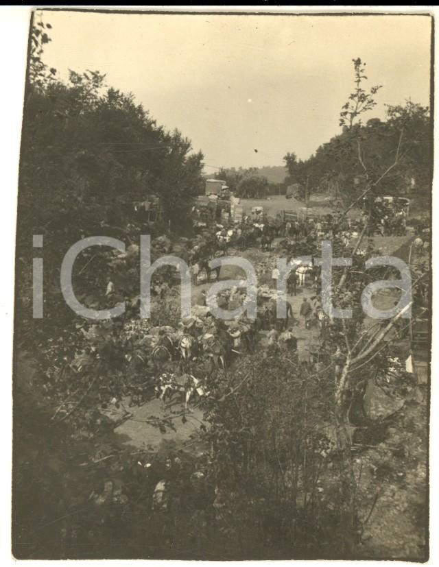 Fotografia d epoca originale 1917 WW1 ZONA DI GUERRA Accampamento italiano con cavalli Foto 8x10 cm 1