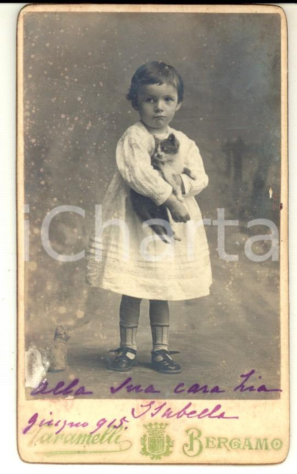 Fotografia d epoca originale 1915 BERGAMO Ritratto di bambina con gattino  Foto Andrea TARAMELLI CDV 1