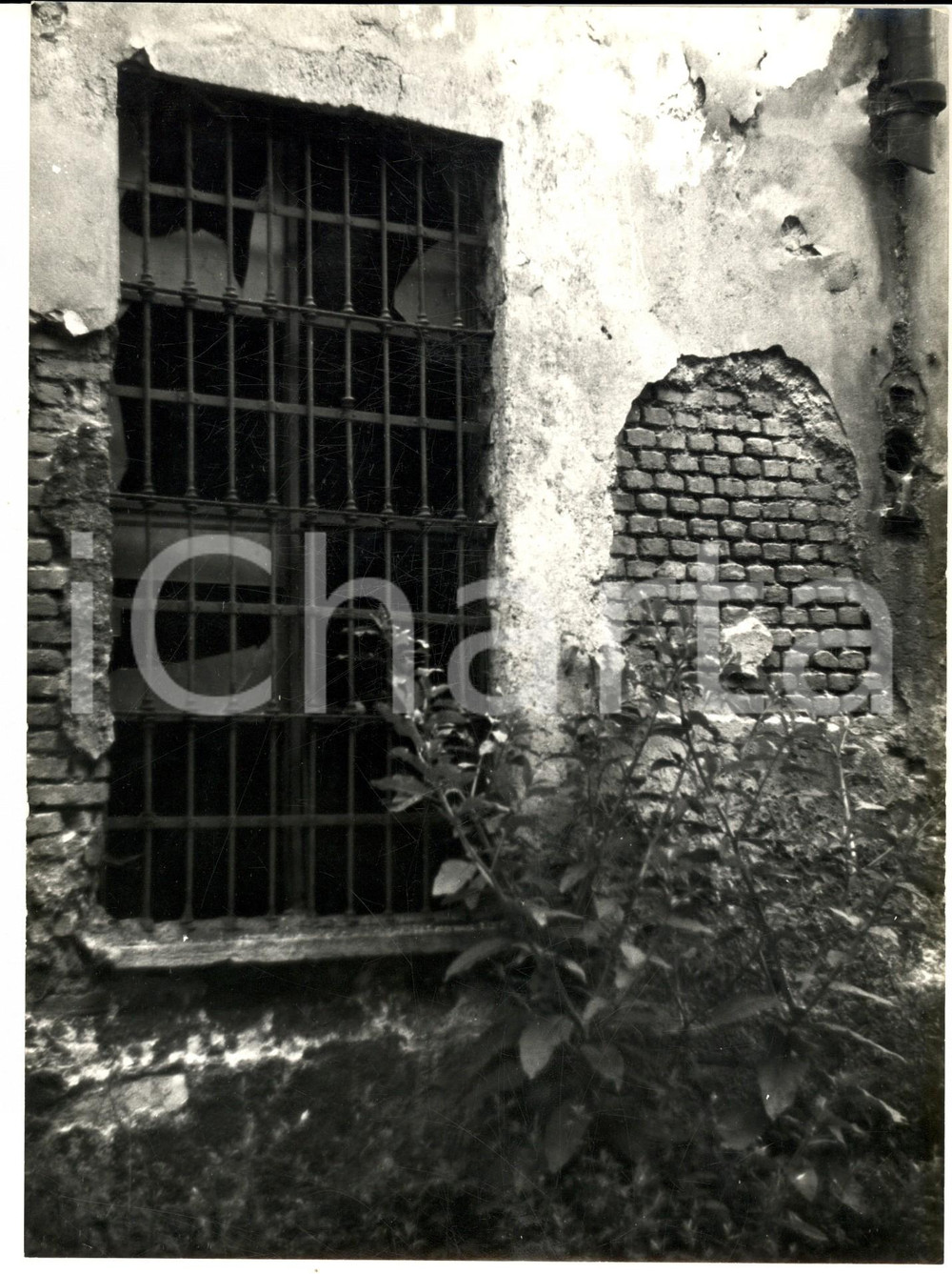 1960 ca MILANO SPARITA Via SCALDASOLE Casa di ringhiera in rovina (3) *Foto
