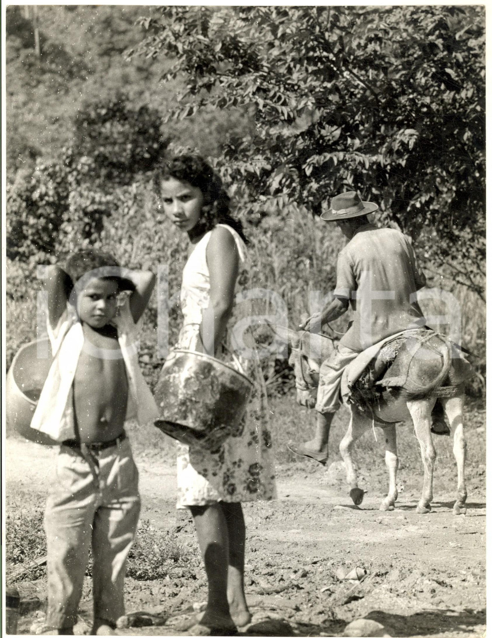 1970 ca VENEZUELA Bambini con secchi vicino a una piantagione - Foto 20x30