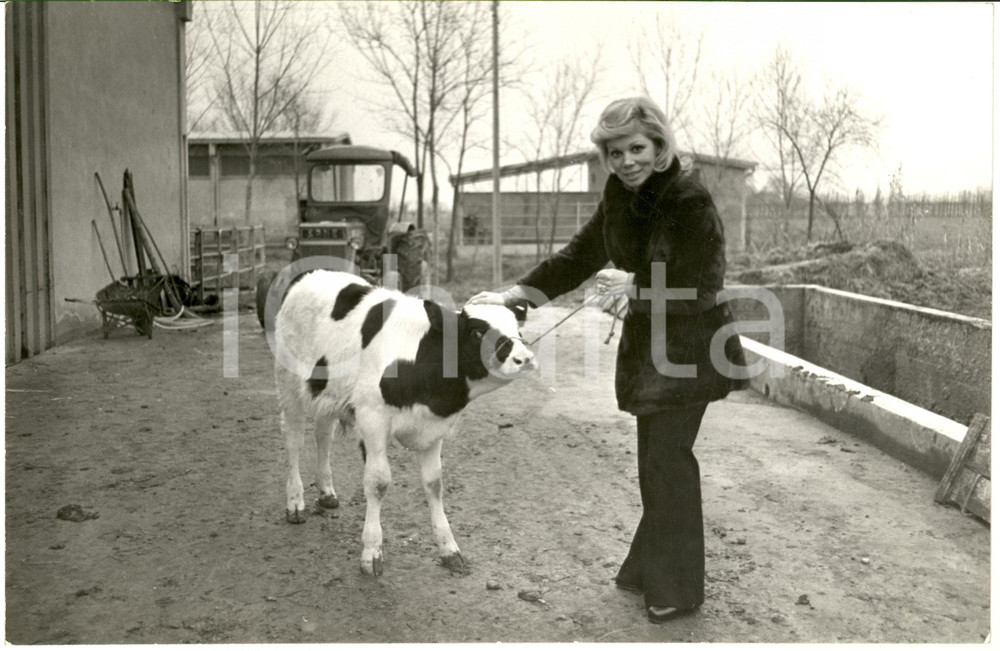 1970 ca COSTUME Soprano Mirella FRENI con un vitellino (1) Foto 30x20 cm